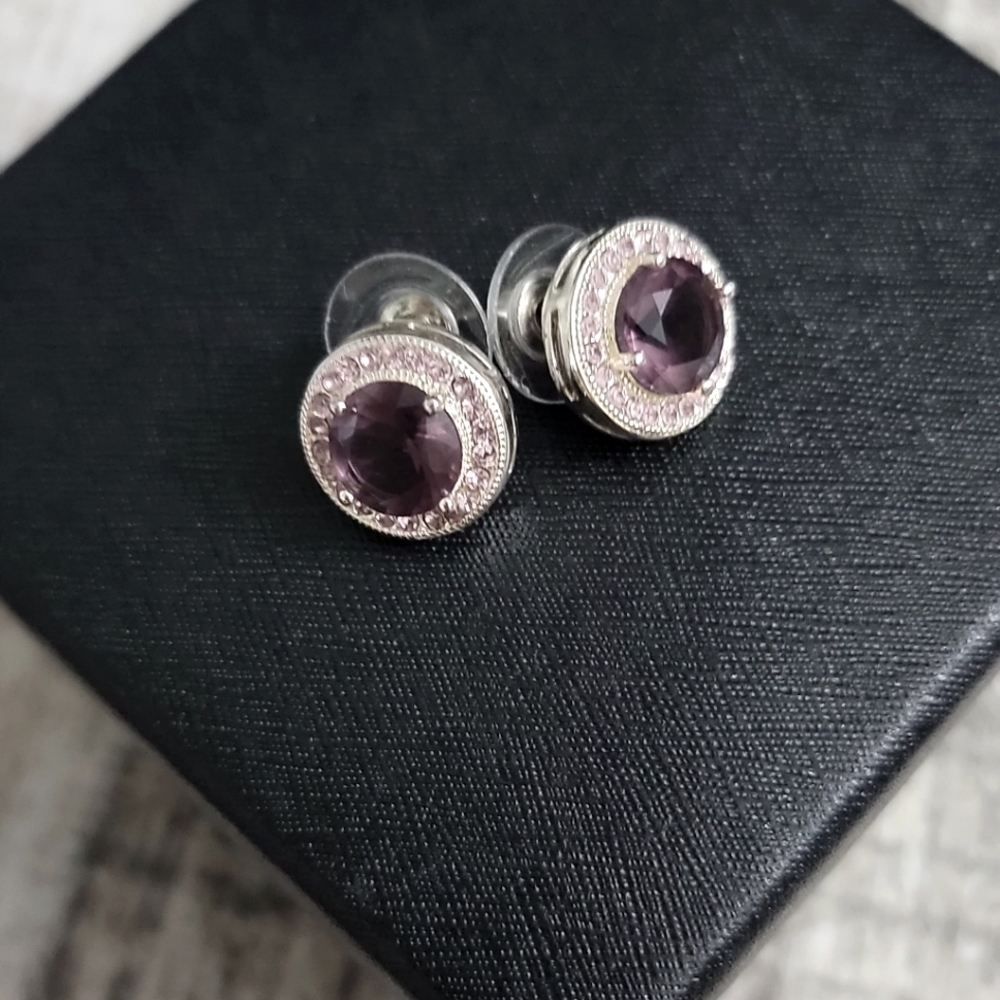 ❤️Purple stud Womens Earrings Stamped with IBB CN